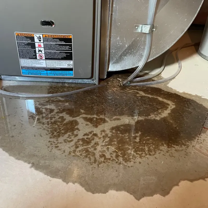 Appliance Leak Cleanup in Hampshire County, WV