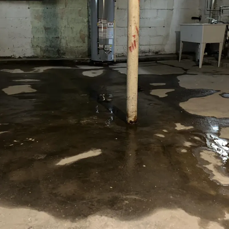 Emergency Water Extraction And Removal in Hampshire County, WV